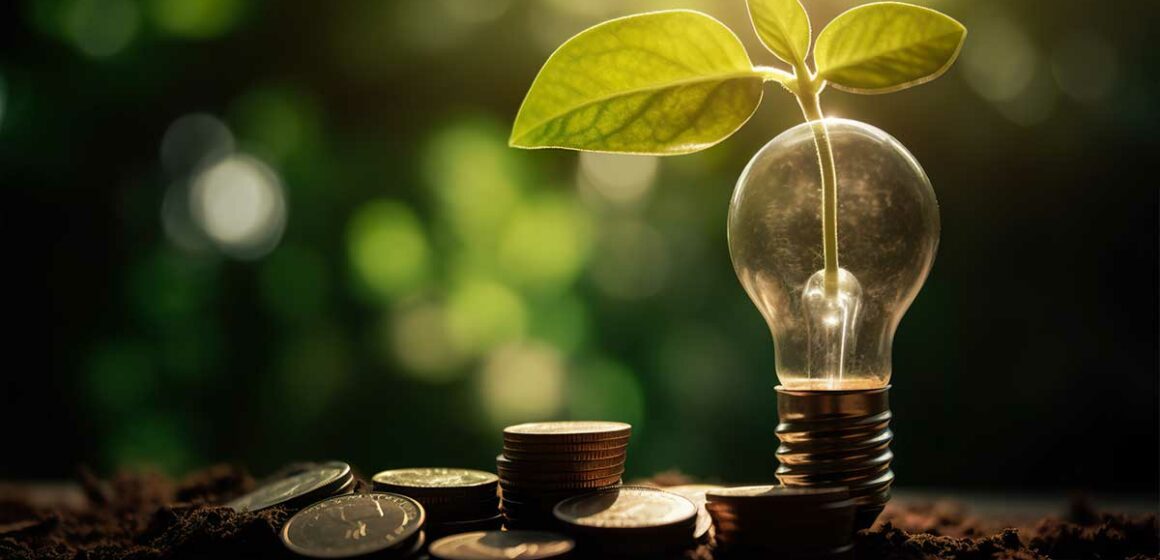 investir-entreprise-verte-environnement